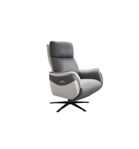 PLICE - Fauteuil relaxation pendulaire bi-moteur  