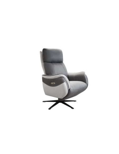 PLICE - Fauteuil relaxation pendulaire bi-moteur  