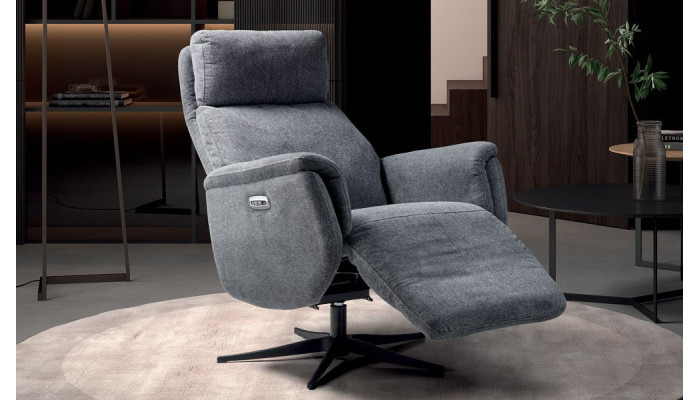 DELCHE - Fauteuil relaxation 2 moteurs  