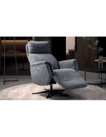 DELCHE - Fauteuil relaxation 2 moteurs  