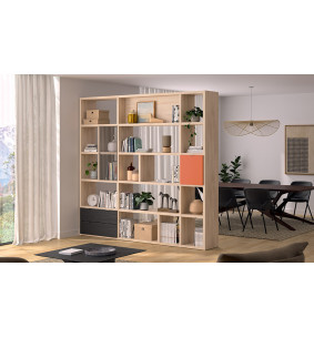 Manhattan - Bibliothèque 