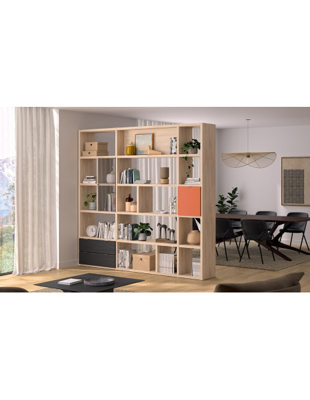 Manhattan - Bibliothèque 